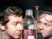 ������ �7 �����, ��� ��� ��������