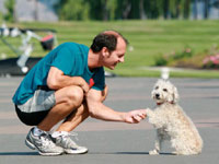 ������ �7 ����������� ������