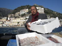 ��������� ��� ������� ��������� ����� ��� ��� �������� ������� ������