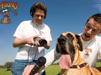 ������ �7 ��������� � �������