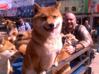 ��������� ��� ������� ������� ������ ����� ������� �����