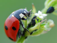 ������ �7 ��������� � ��������� ���� ���������