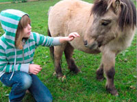 ������ �7 ������� ��� �������� ��������