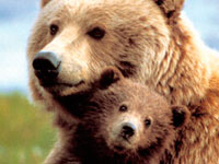 ������ �7 ���������� ������ ������� ������