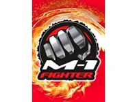 ��������� ���� ������� ���������� ����� ������� ������ �������-��� M-1 Fighter