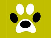 � Youtube �������� ����� ����� � ��������