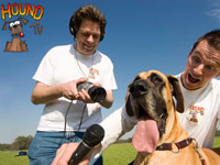 ������ �7 ������� ����� ����� ����������� ������� � �������